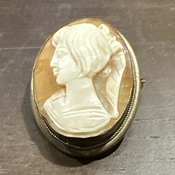 Oval Cameo Portrait Brooch Pin, Gold Tone Beige, Bezel Setting P.A.800