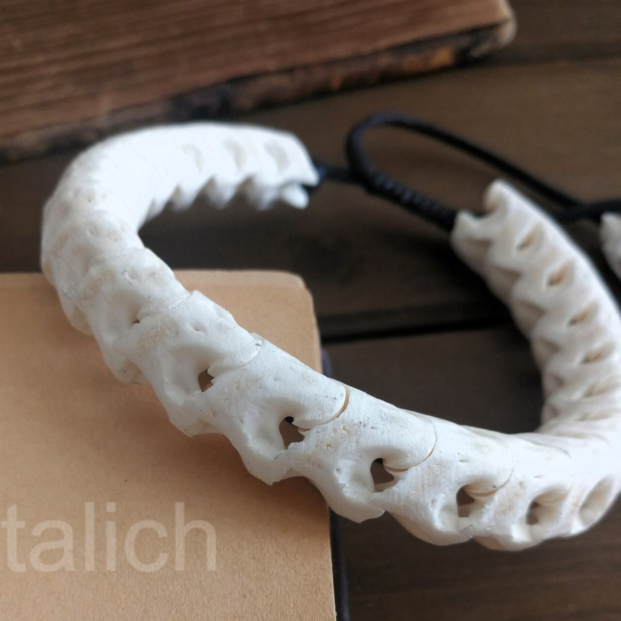 Real Snake Vertebrates Bone Hand Braided Bracelet White Adjustable Unisex Cool