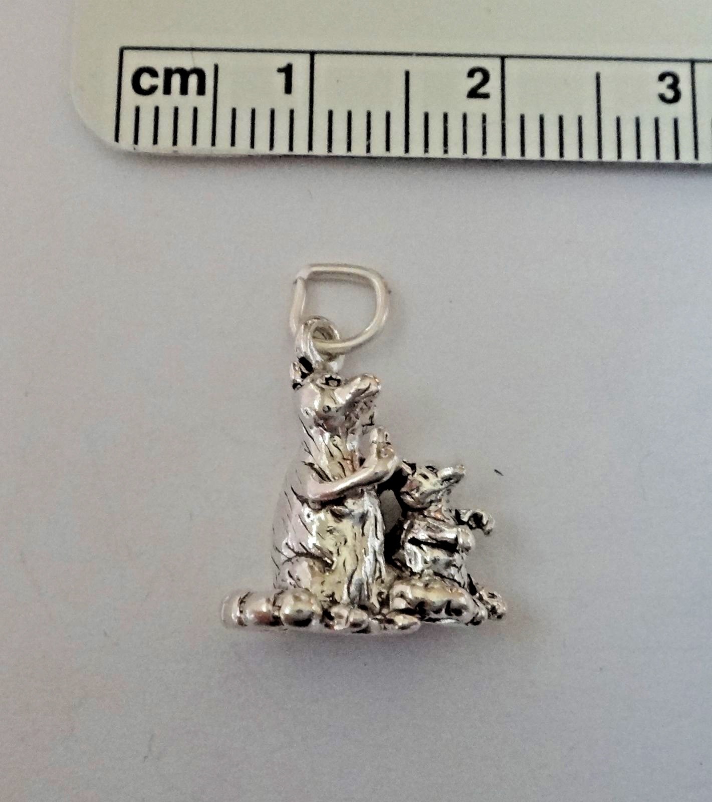 Sterling Silver 3D 16x14mm Detailed Double Raccoon & Baby Zoo Racoon Charm