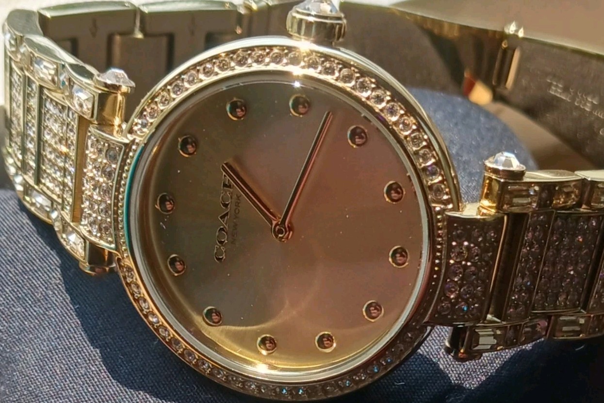 Coach CAREY WATCH UNWORN NIB W/TAGS