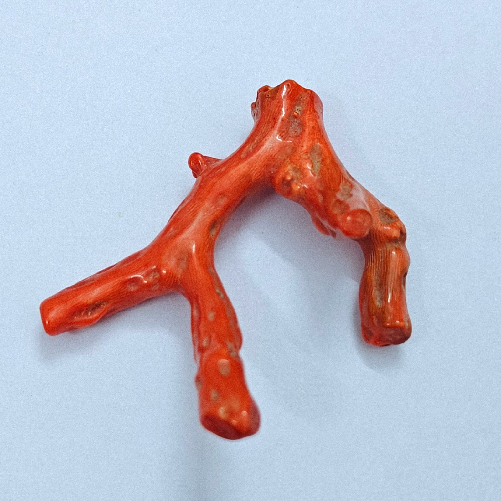 Natural Pink Coral Polished Branch Rough Stick Loose Sea Gemstone For Collectors