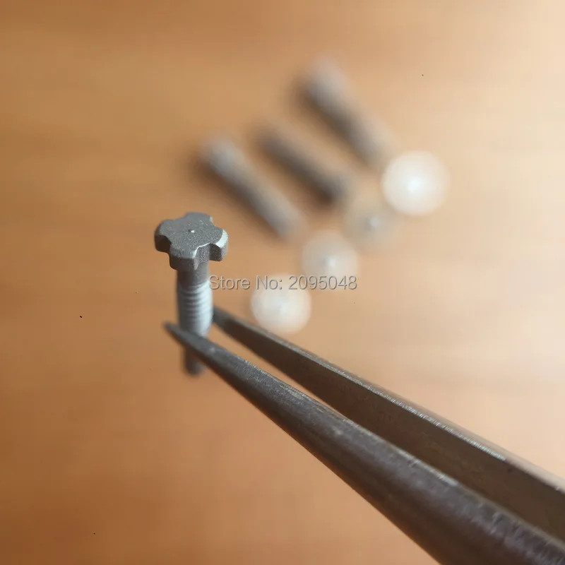 Matte Titanium Watch Band 4 Prong Screw Fits Richard Mille RM 011 030 035 055