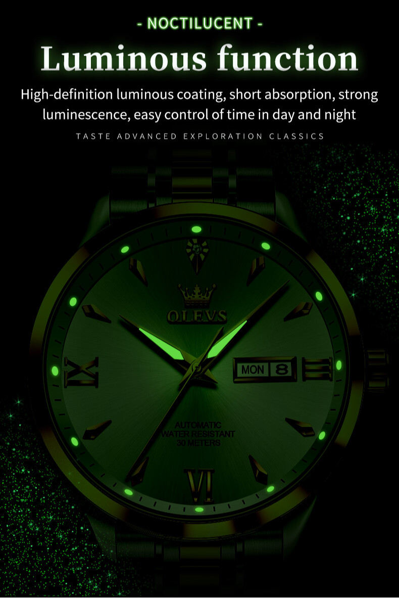 OLEVS Waterproof Luminous Diamond Dial Automatic Mechanical Business Watch Men’s
