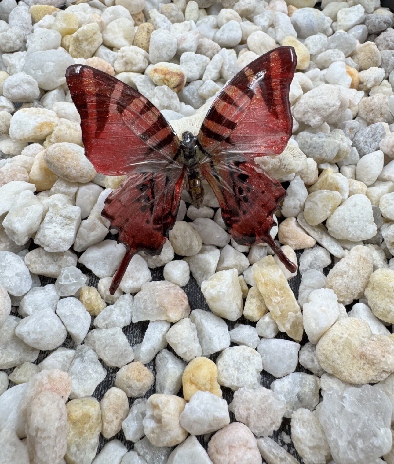 Hand Painted Real Butterfly Pendant Dipped In Resin – Red & Black