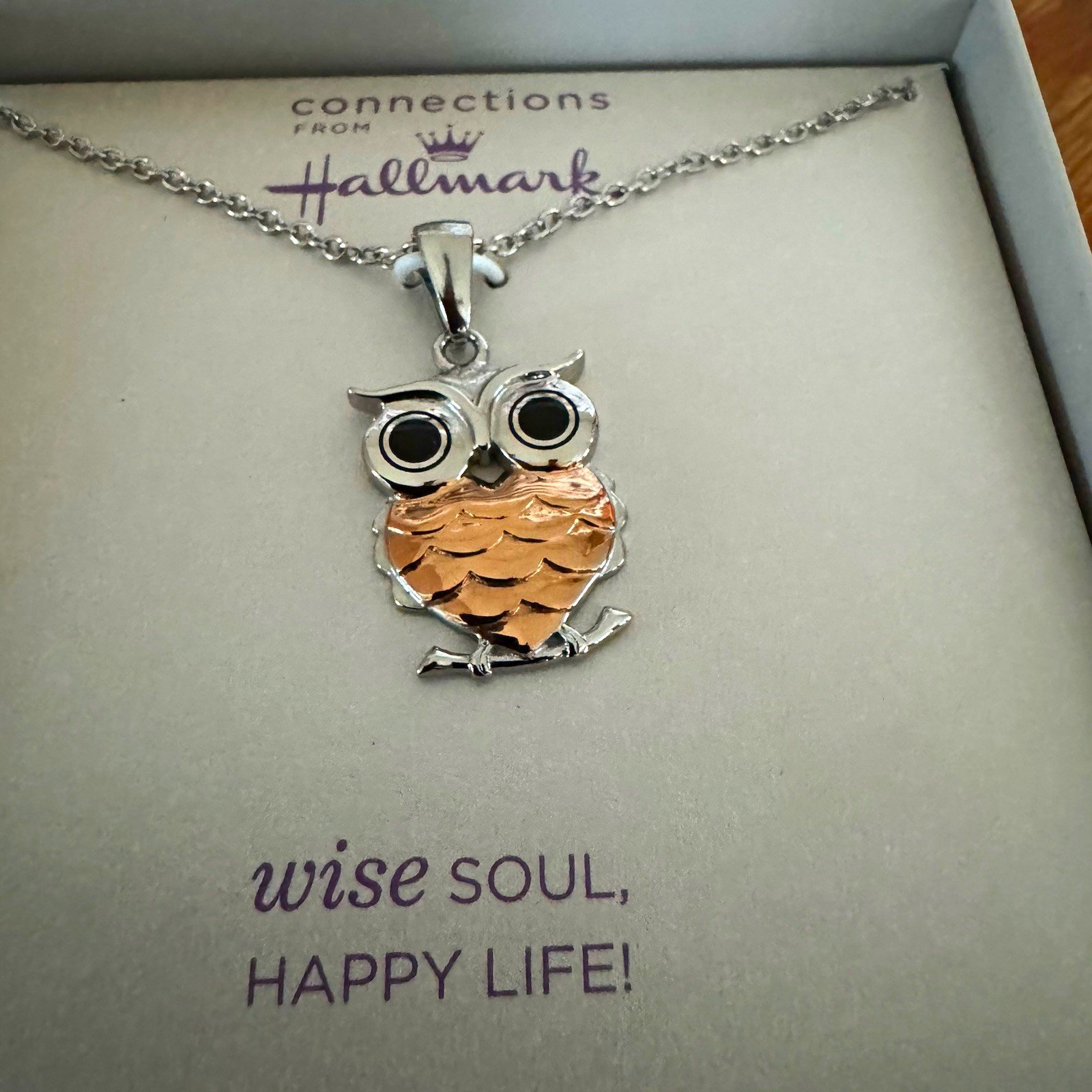 Connections From Hallmark Stainless Steel Owl Charm Pendant Oval Link Necklace