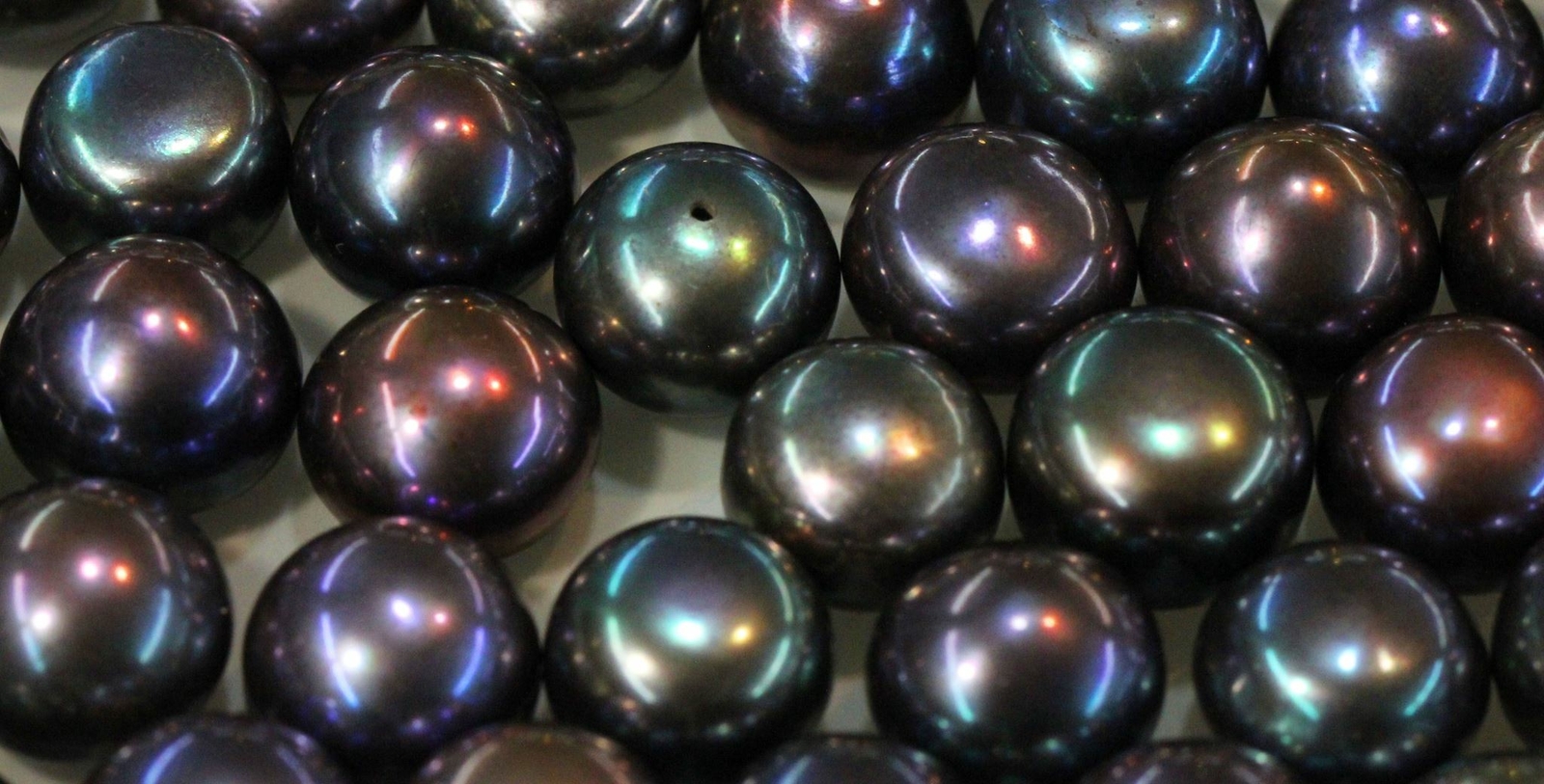 Natural Fine Peacock Freshwater Pearl – Round – Half-Drilled – China – AAA Grade