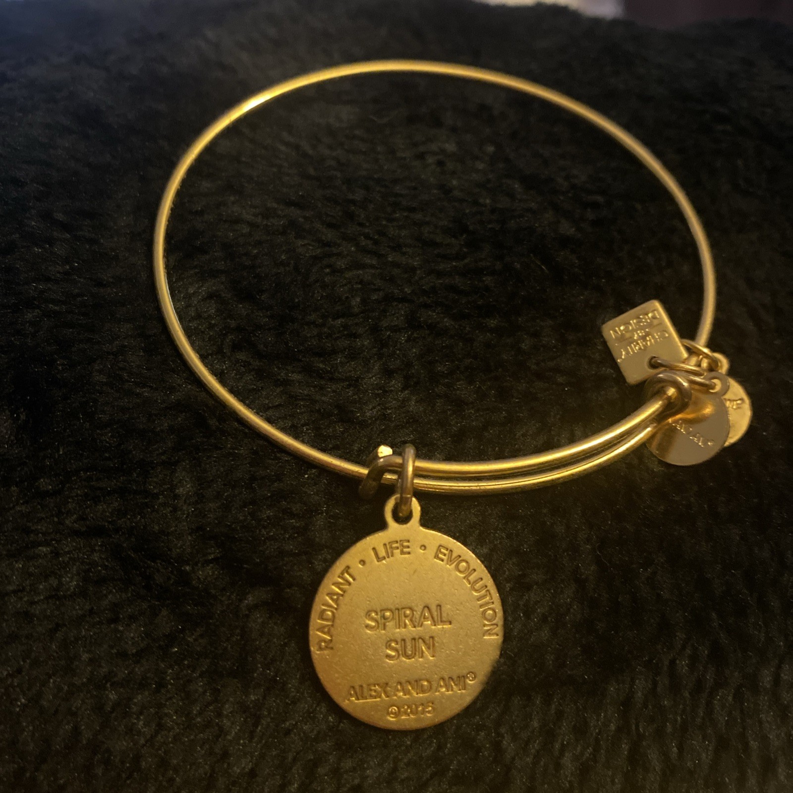 ALEX AND ANI Spiral Sun Charm Bangle Bracelet Gold-Tone Expandable 7-9 in