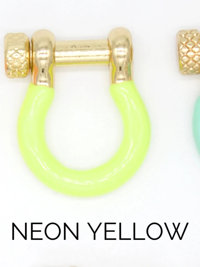 Enamel Colored Carabiner (XX14)