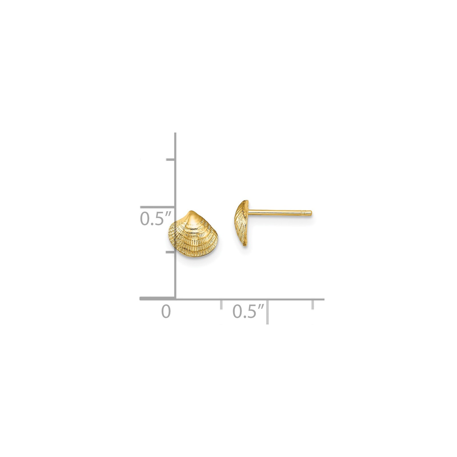 14k Yellow Gold Mini Clam Shell Post Earrings