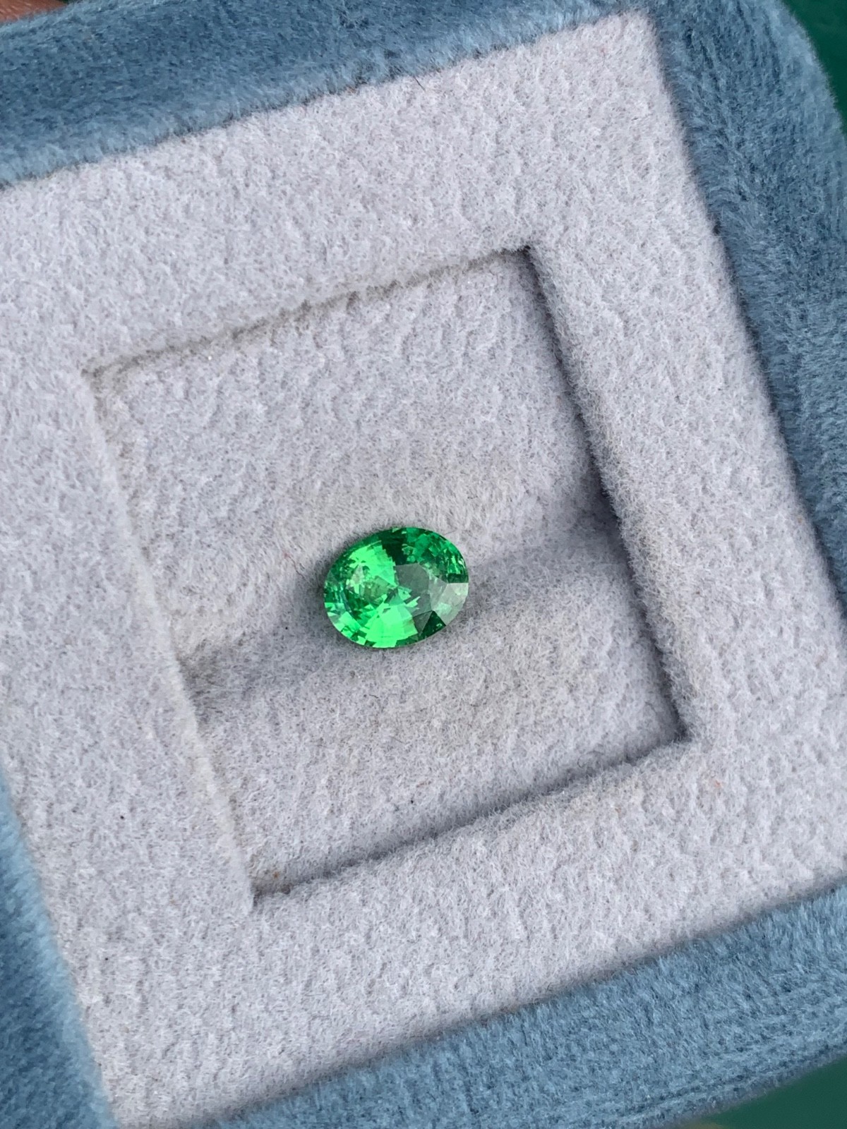 Natural Green Tsavorite Garnet(Tsv)1.10crt Oval VVS Loose Gemstone Tanzania