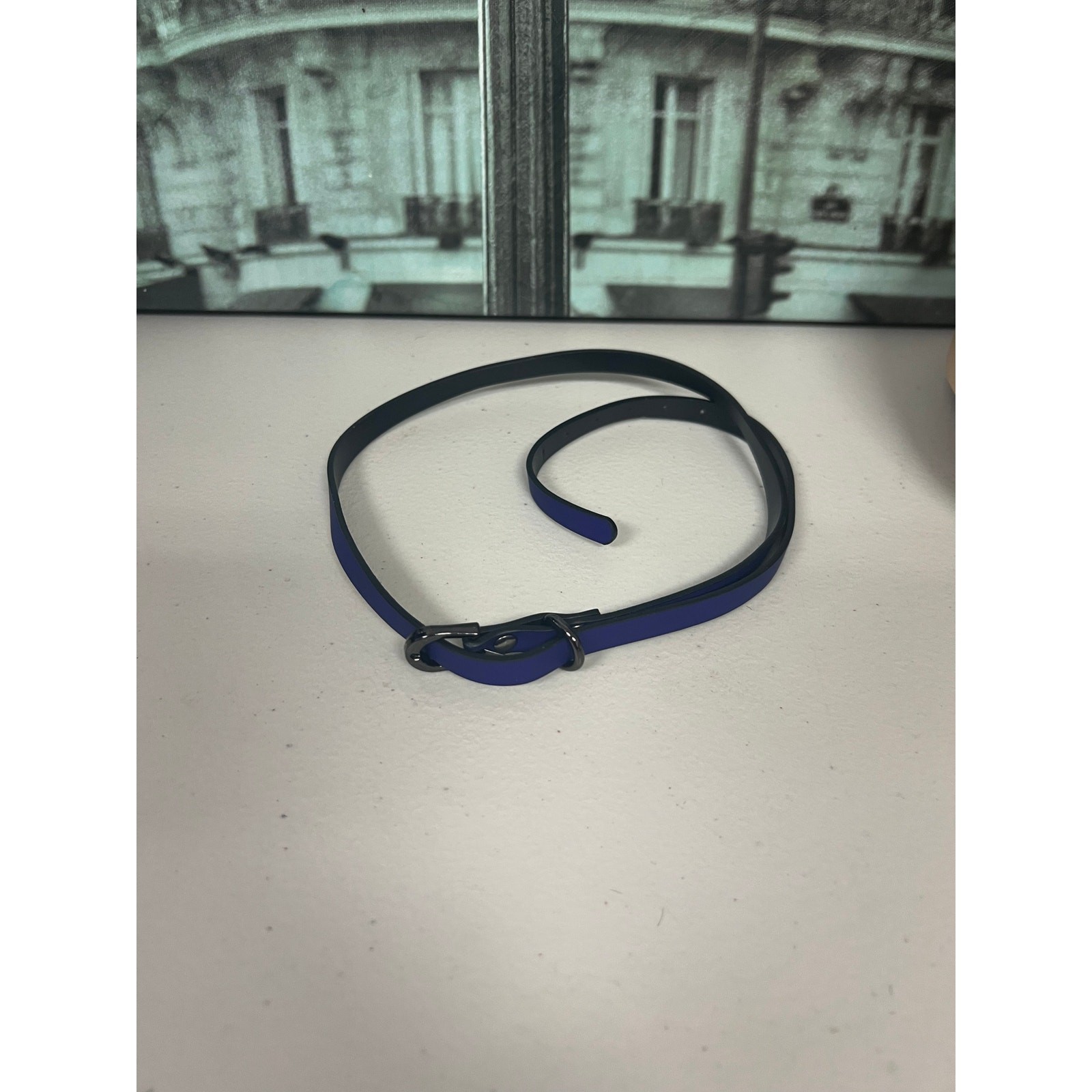Heat-Sensitive Thermochromic Leather Choker with Leash