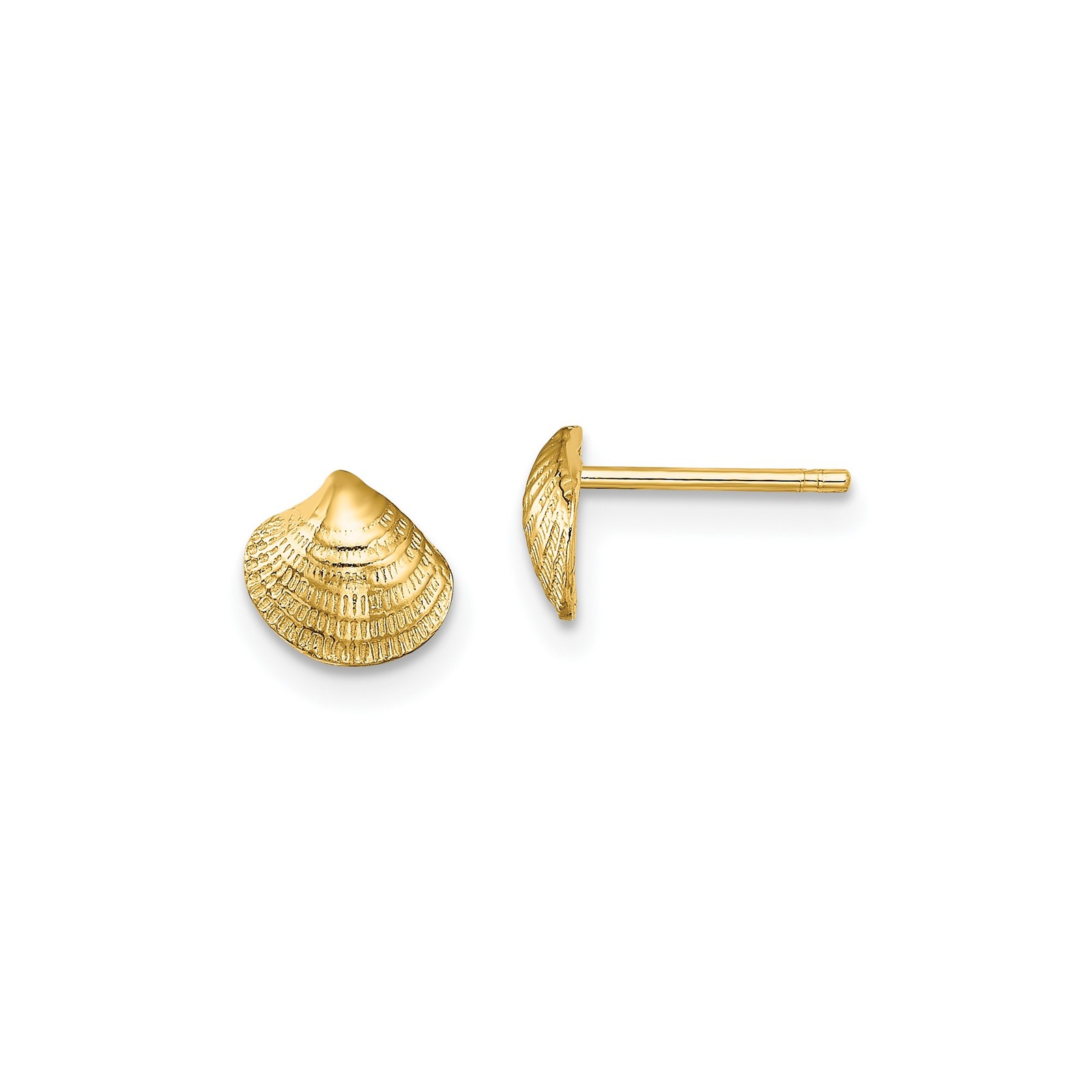 14k Yellow Gold Mini Clam Shell Post Earrings