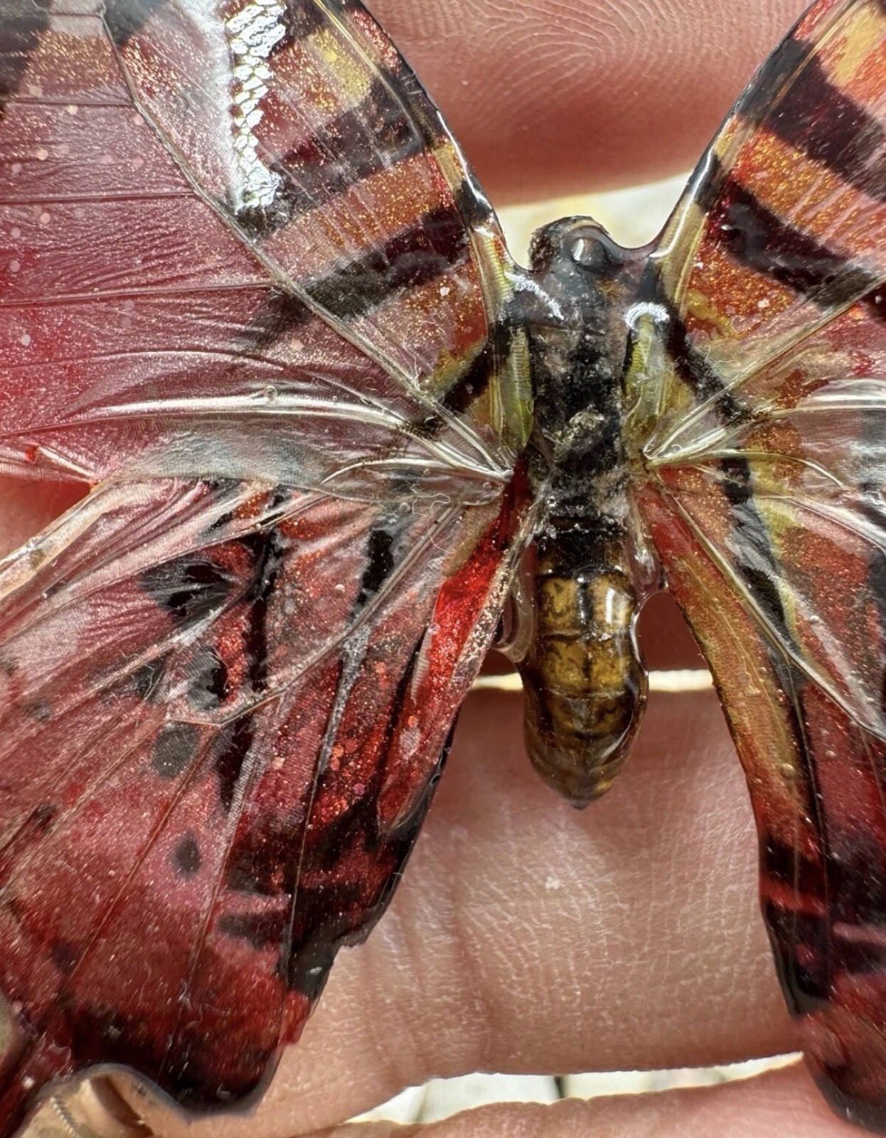 Hand Painted Real Butterfly Pendant Dipped In Resin – Red & Black