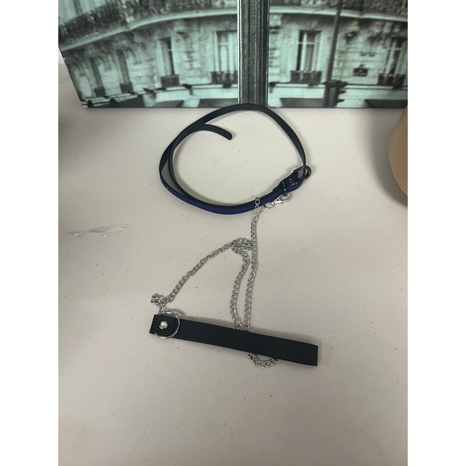Heat-Sensitive Thermochromic Leather Choker with Leash