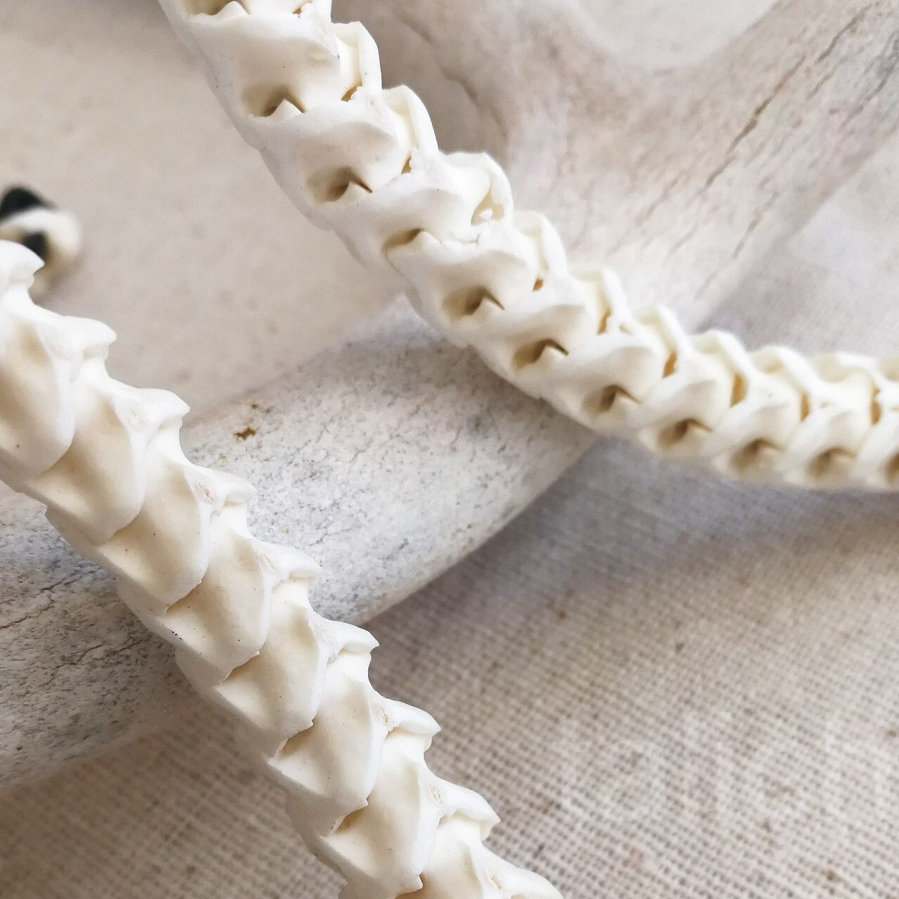 Real Snake Vertebrates Bone Hand Braided Necklace White Adjustable Unisex Cool