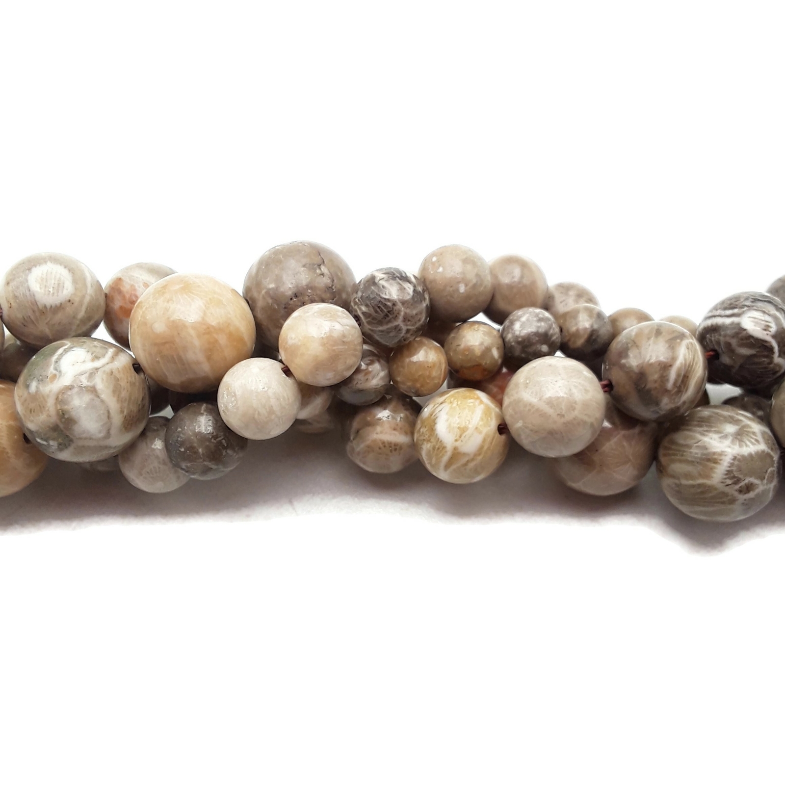 Natural Fossil Coral Smooth Round Beads 4mm 6mm 8mm 10mm 12mm 15.5″ Strand