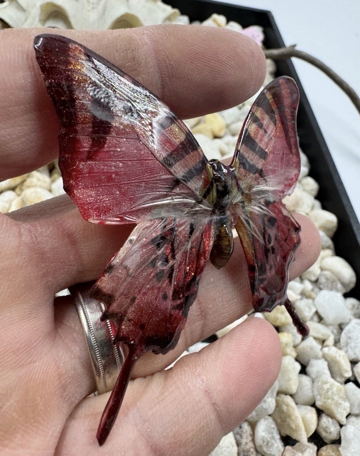 Hand Painted Real Butterfly Pendant Dipped In Resin – Red & Black