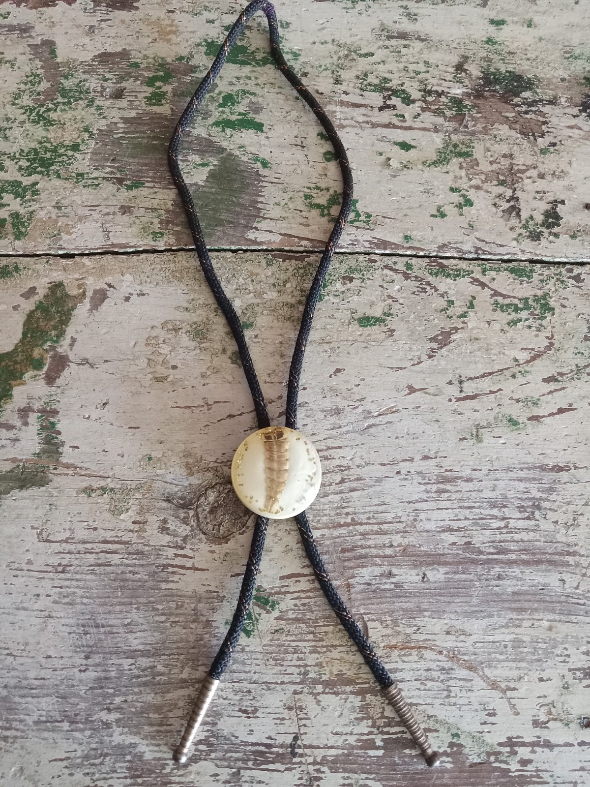 Vintage Rattle Snake Rattler Bolo Acrylic Resin Brass Tips