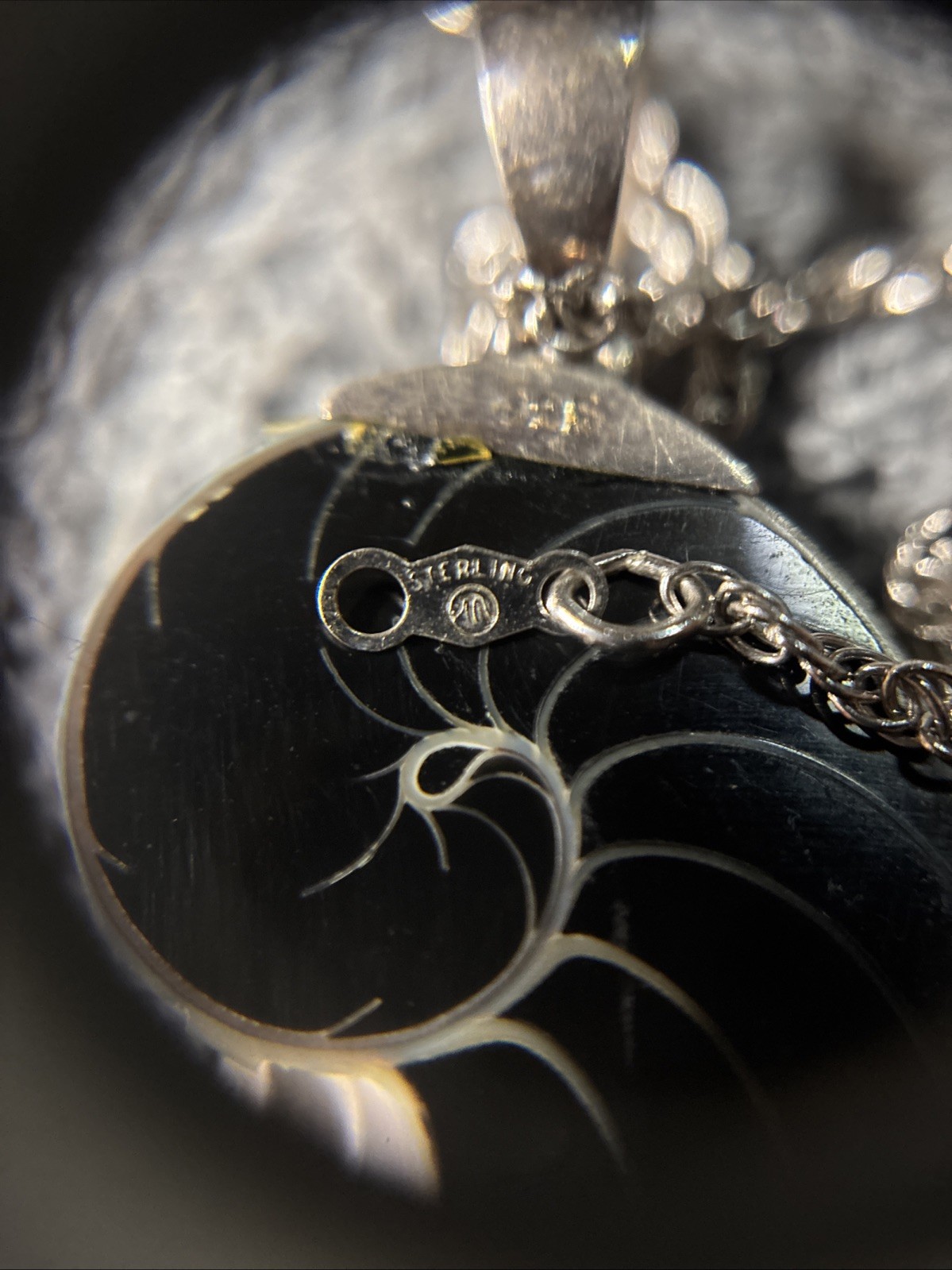 sterling silver necklace with Light Blue Nautilus Shell pendant