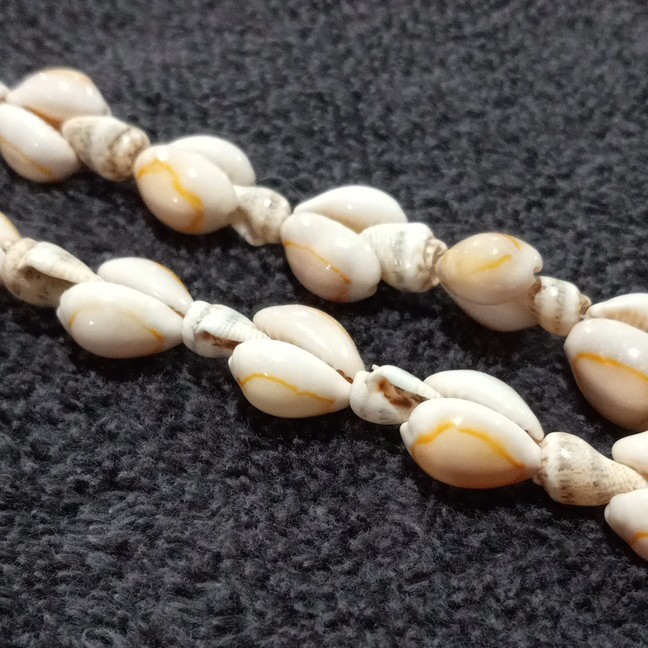 White Beige Natural Shell Oval Beaded Strand Necklace 18 in No Clasp Beach/Ocean