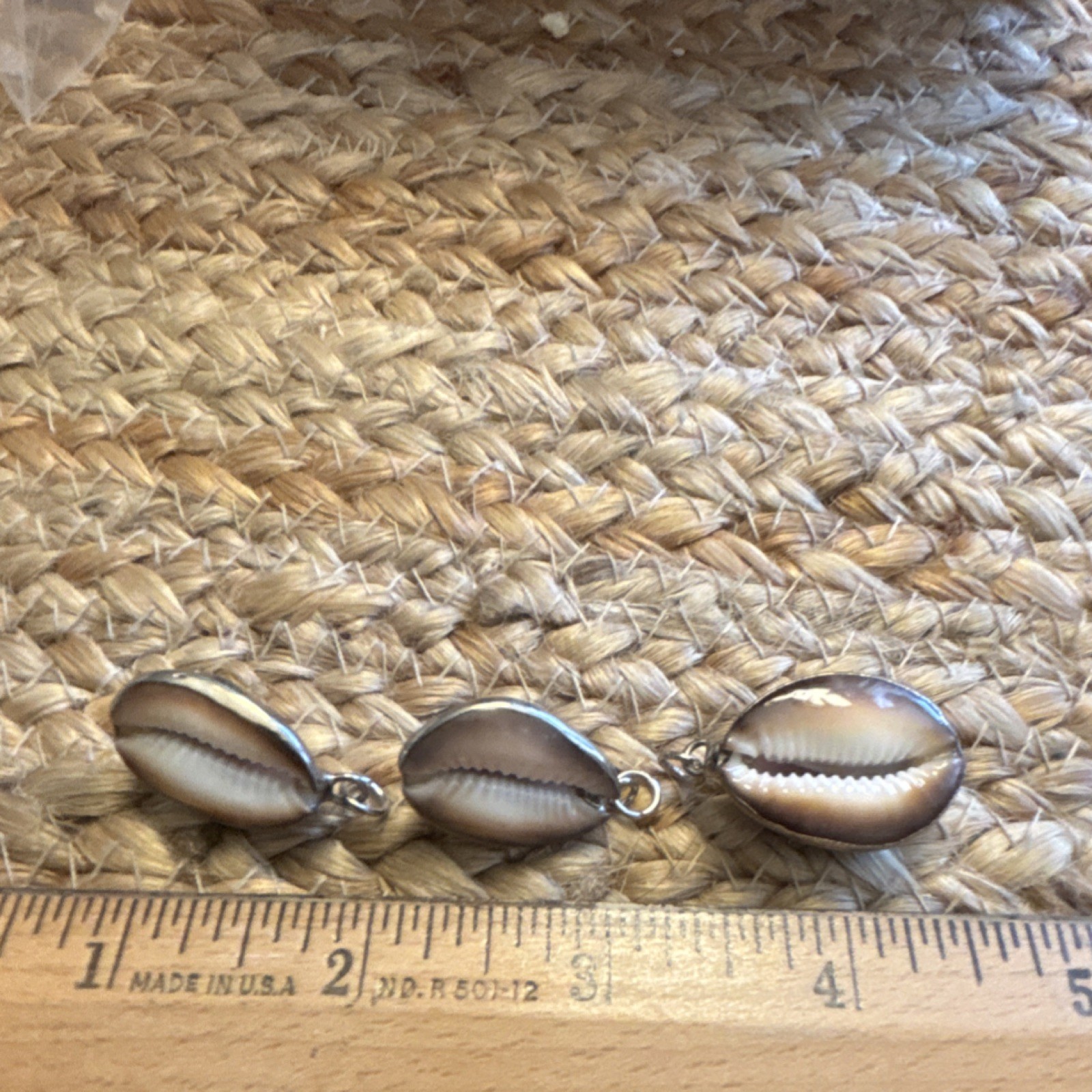 Shell Dangle/Drop jewelry charm Brown/lavender Oval seashell (3)