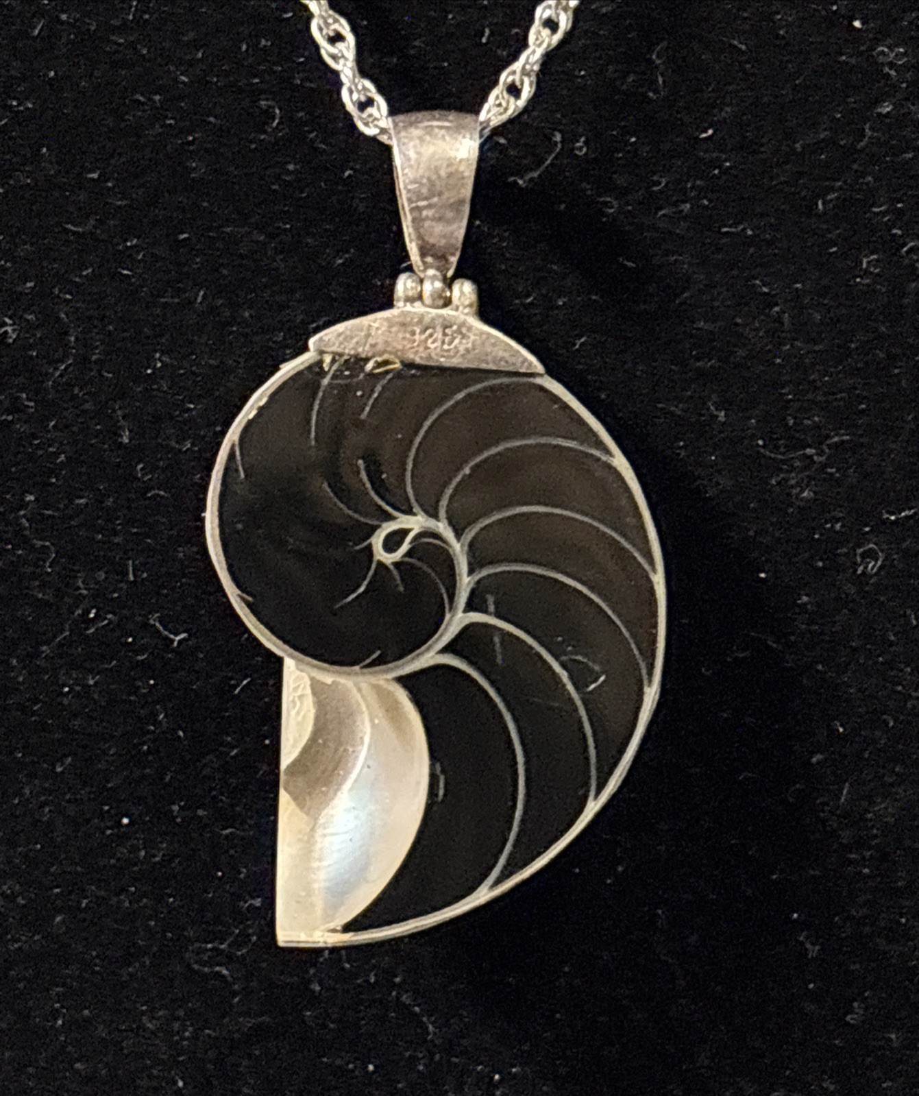 sterling silver necklace with Light Blue Nautilus Shell pendant