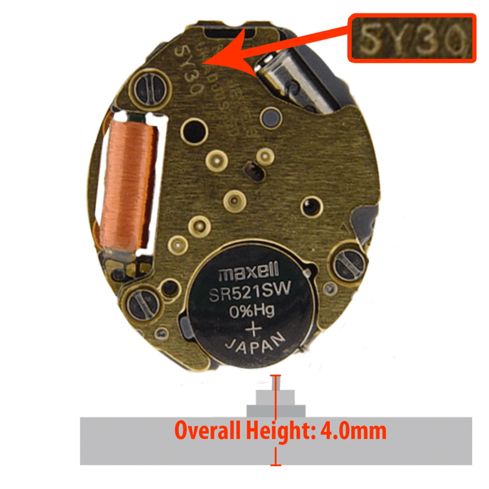 Miyota/Citizen 5Y30, 3 Hands, Japan Quartz Movement