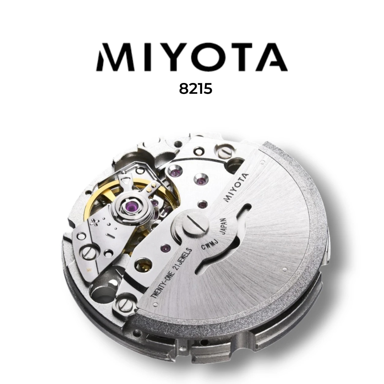 Fenice Subtrack SEA Automatic Watch 10ATM Miyota 21 Jewels 2020-Now