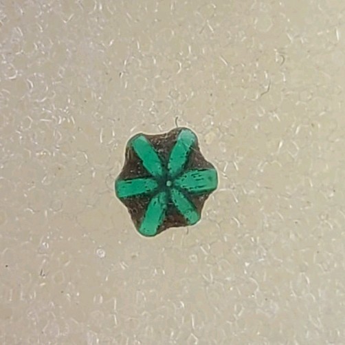 EXTREMELY RARE Tripache Emerald From Colombia 0.10 ct 3.65 x 3.10 x 1.28 mm