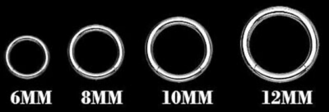 Hinged Septum Clicker Segment Nose Ring Lip Ear Daith 18G,16G,14G- ONE hoop