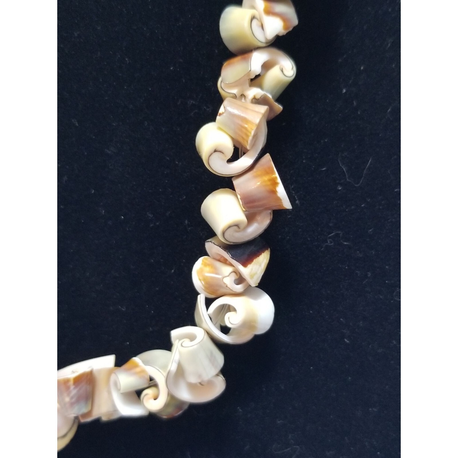 Luhuanus Short Sliced Spiral Shell Necklace Barrel Clasp 8.5″ Vintage