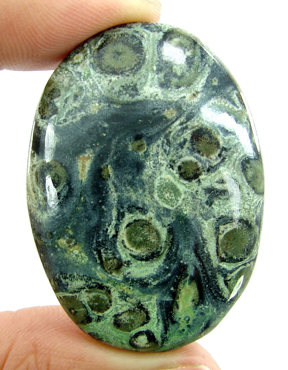 74.95 Ct Natural Kambaba Jasper Loose Gemstone Stone Cab Wire Wrap Stone – 2393