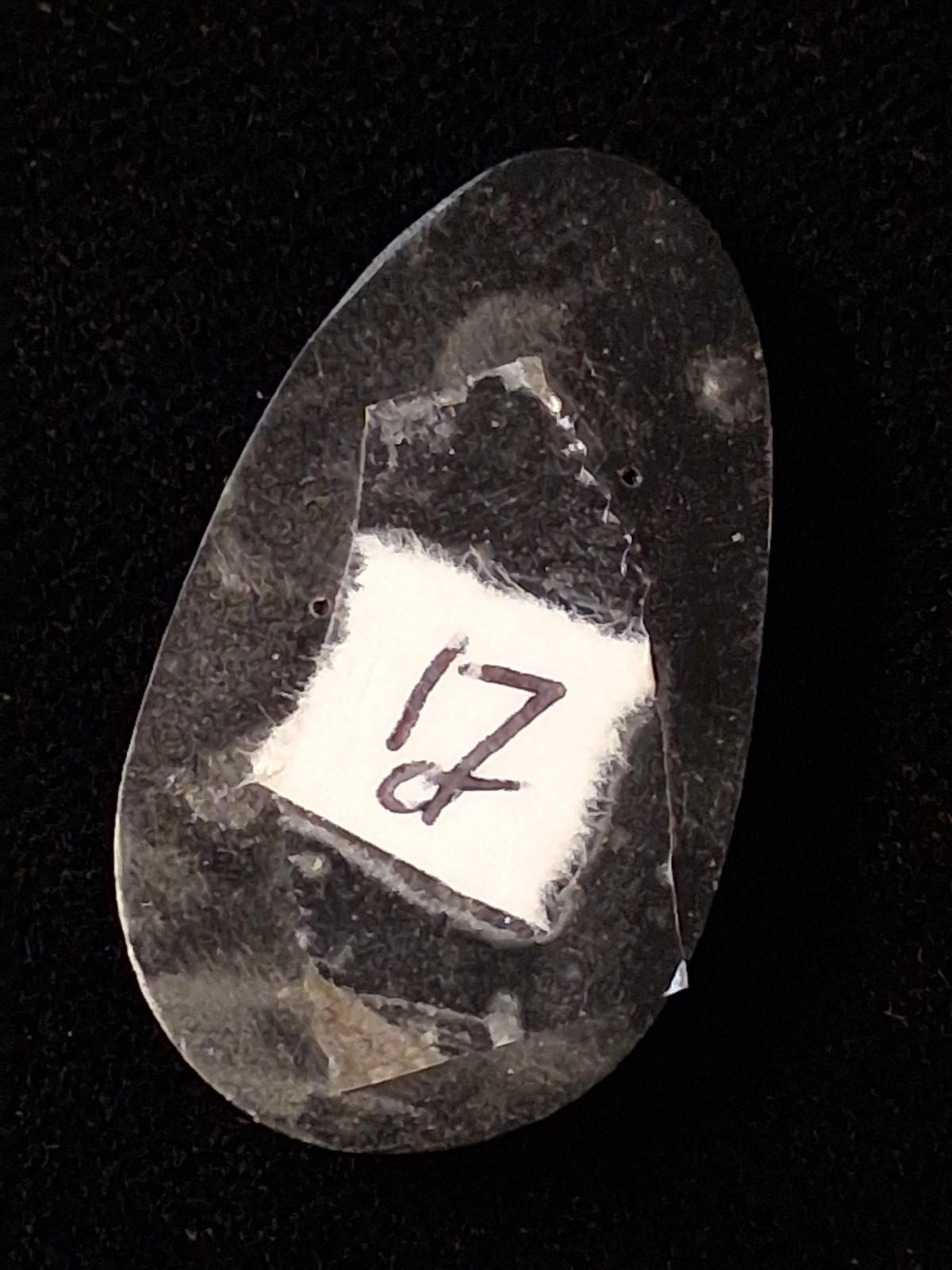 New Ultra Rare Broken Arrow Varisite (Carmel Variation) Cabochon 17 Carats