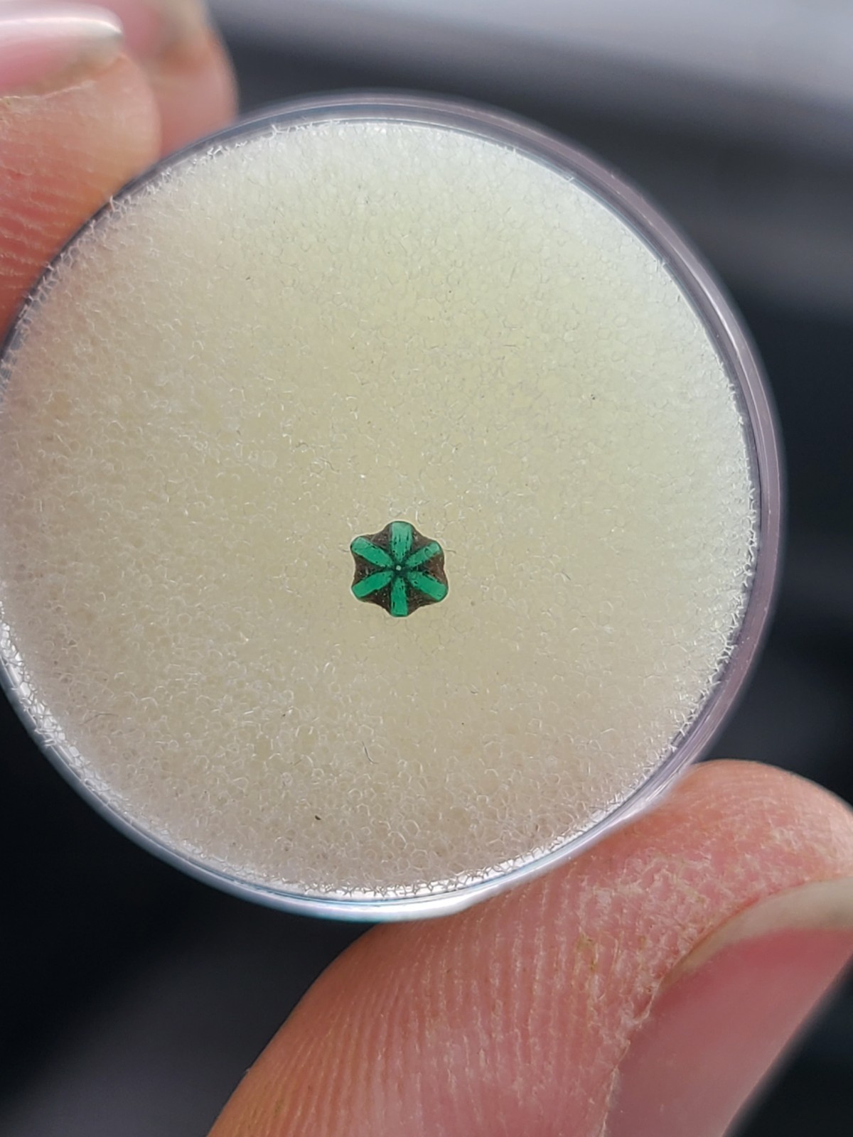 EXTREMELY RARE Tripache Emerald From Colombia 0.10 ct 3.65 x 3.10 x 1.28 mm
