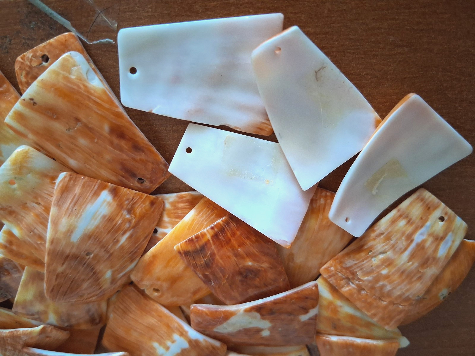 Spiny Oyster Orange Hut Shaped Earring Pairs Approx 30 x 20 mm