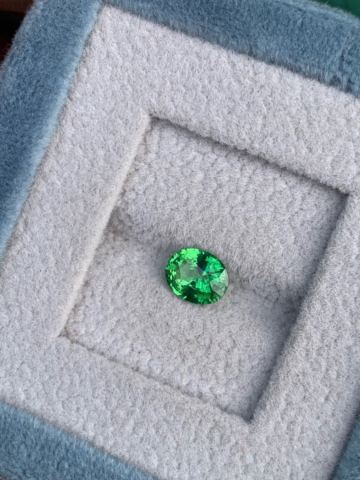 Natural Green Tsavorite Garnet(Tsv)1.10crt Oval VVS Loose Gemstone Tanzania