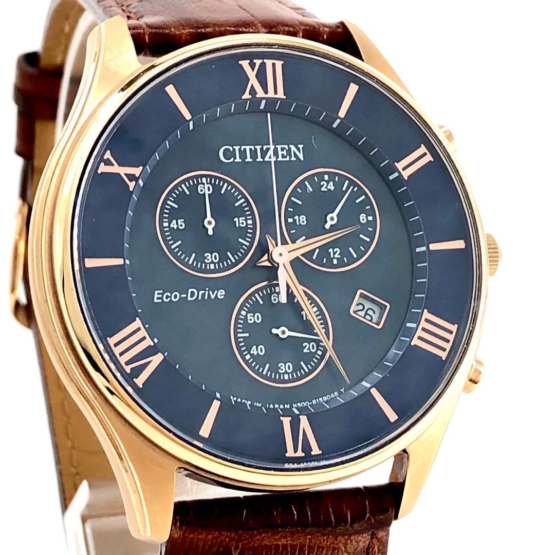 Citizen Eco-Drive H500-S107318 Solar Radio Brown Roman Numeral Watch 075520