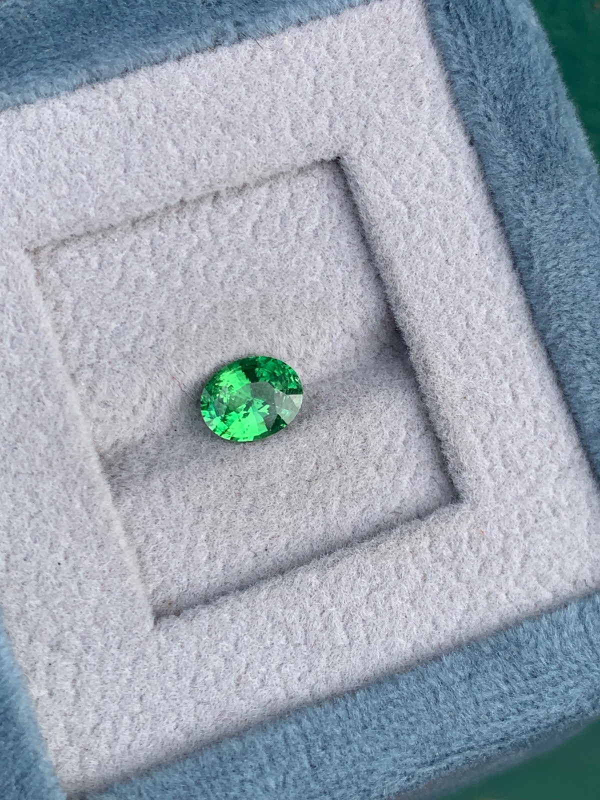 Natural Green Tsavorite Garnet(Tsv)1.10crt Oval VVS Loose Gemstone Tanzania