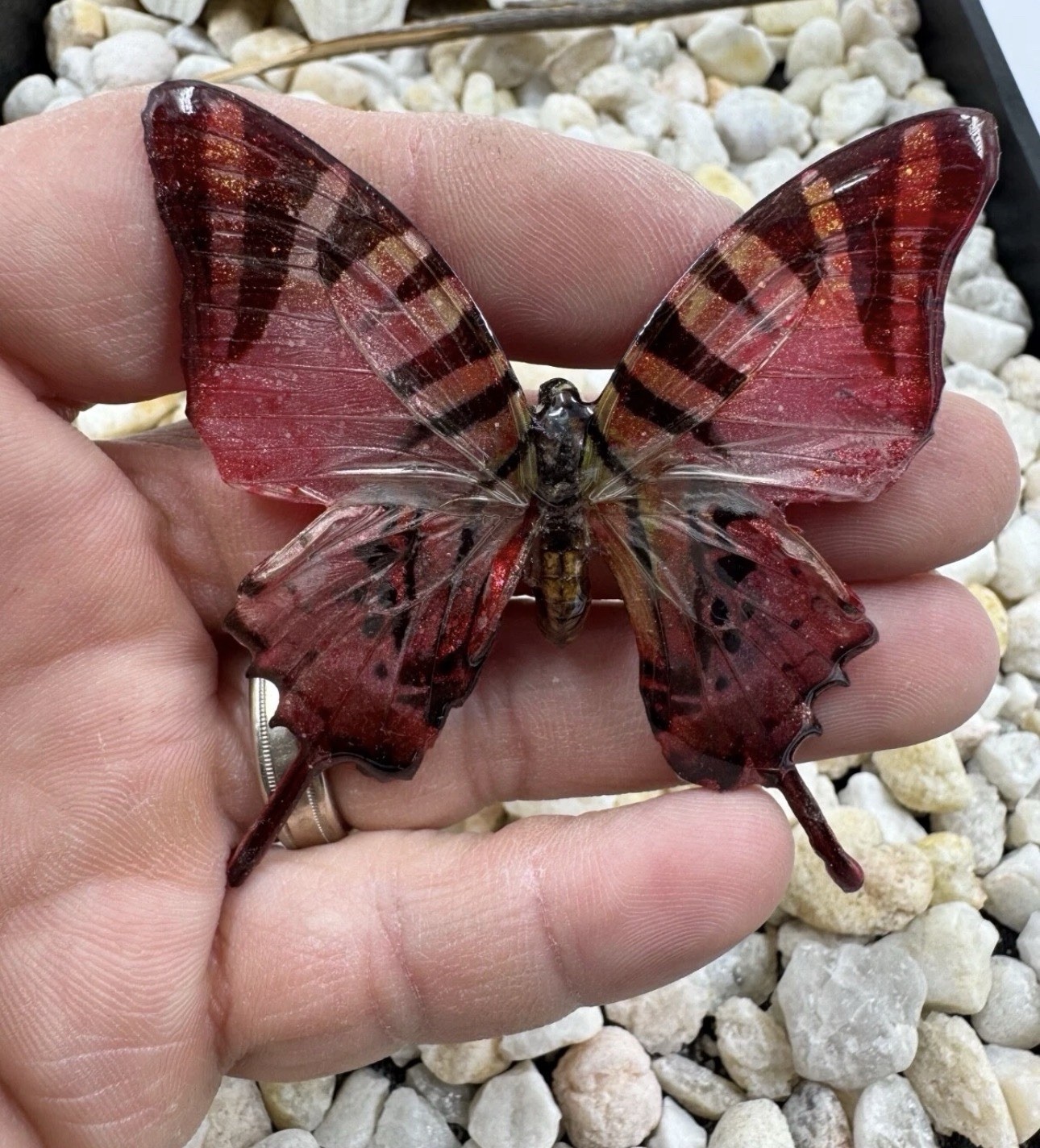 Hand Painted Real Butterfly Pendant Dipped In Resin – Red & Black
