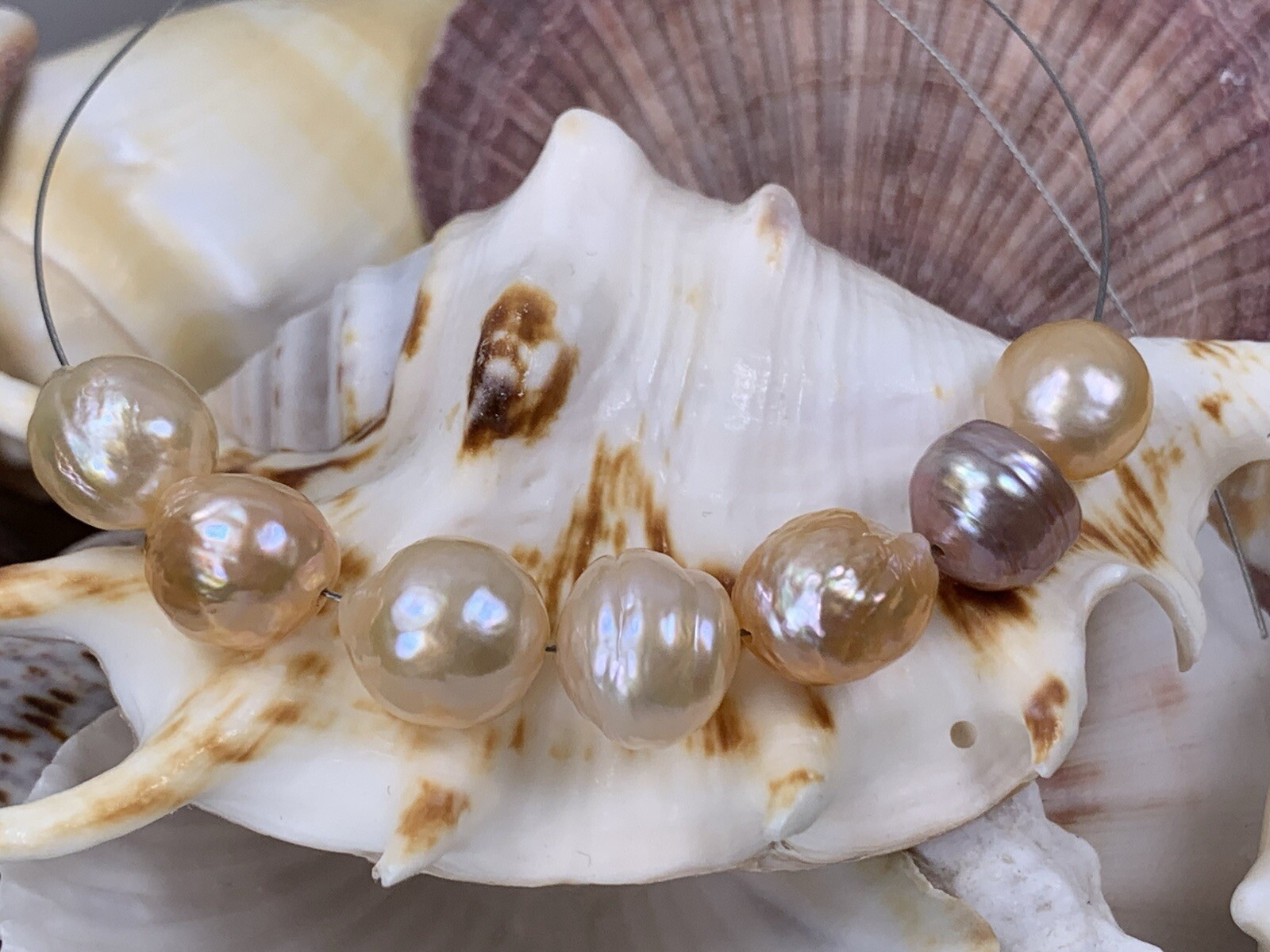 Beautiful Kasumi 7 Loose Pearls 8.8×10.1- 12.0×10.2mm