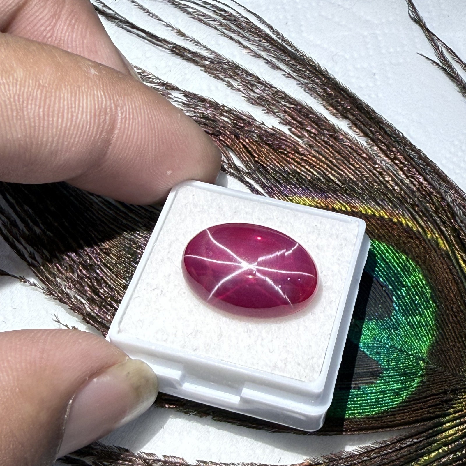 Certified 19.80 Ct Natural Vietnam Star Ruby 17.9×13.1 mm Oval 6-Ray Gemstone