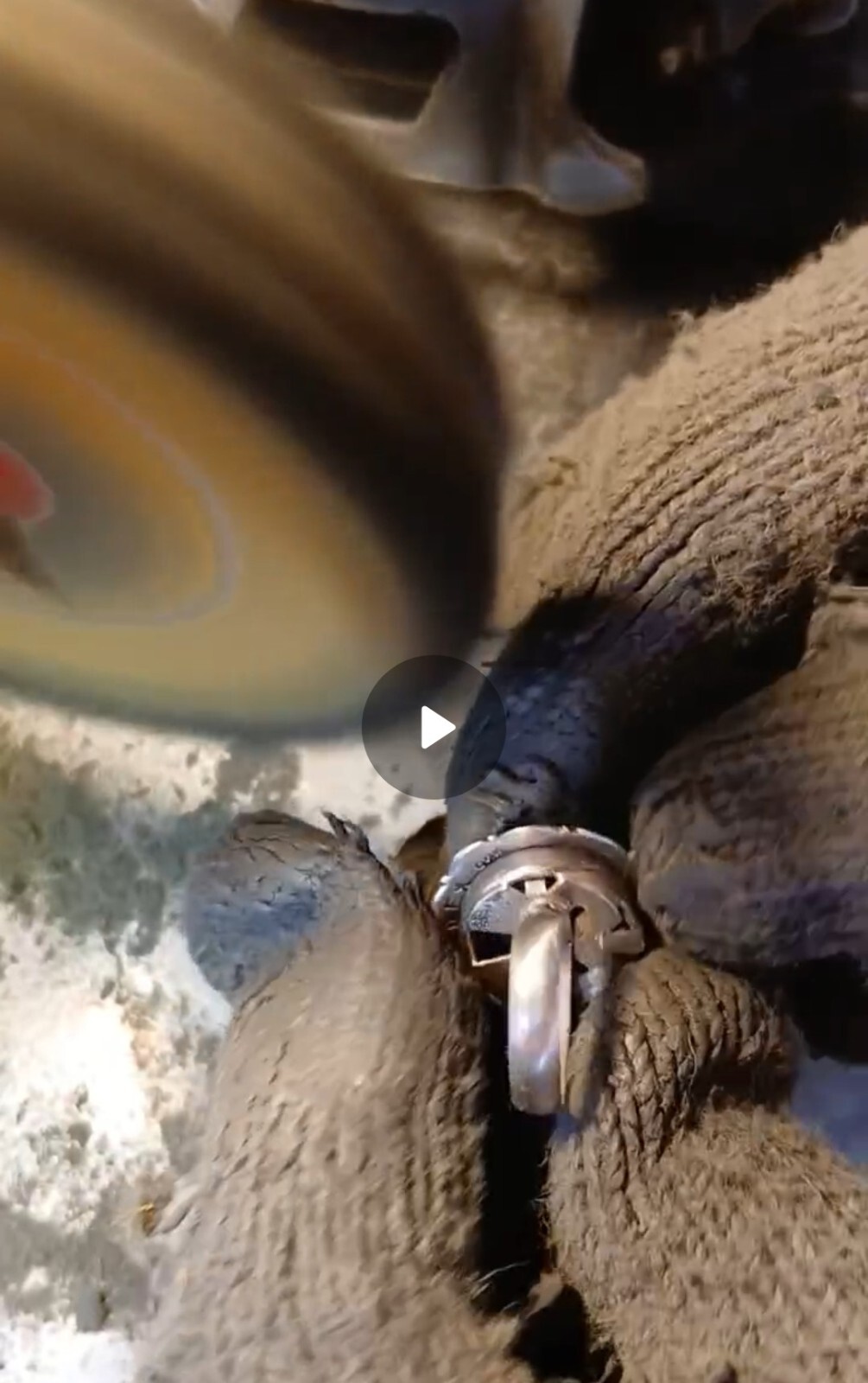 Unique Navajo Button Cover Ring by Davin Benally Sterling Silver 5.8 grams