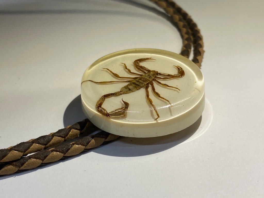 Scorpion Bolo Tie