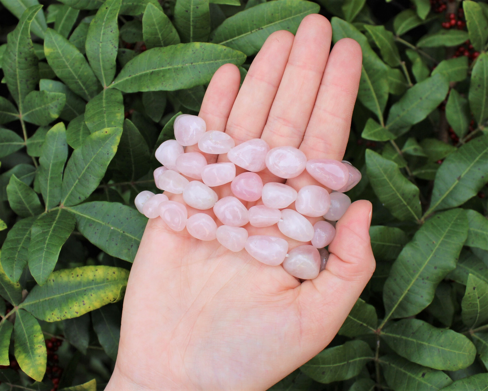 Rose Quartz Tumbled Gemstone Bracelet 6-8 mm Nuggets (Stretch Bracelet, Gift)