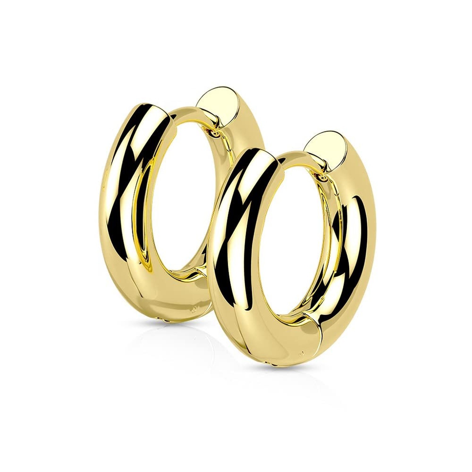 18GA 316L Stainless Steel 3mm Thick Hinged Round Hoop Earrings, Sold as a Pair