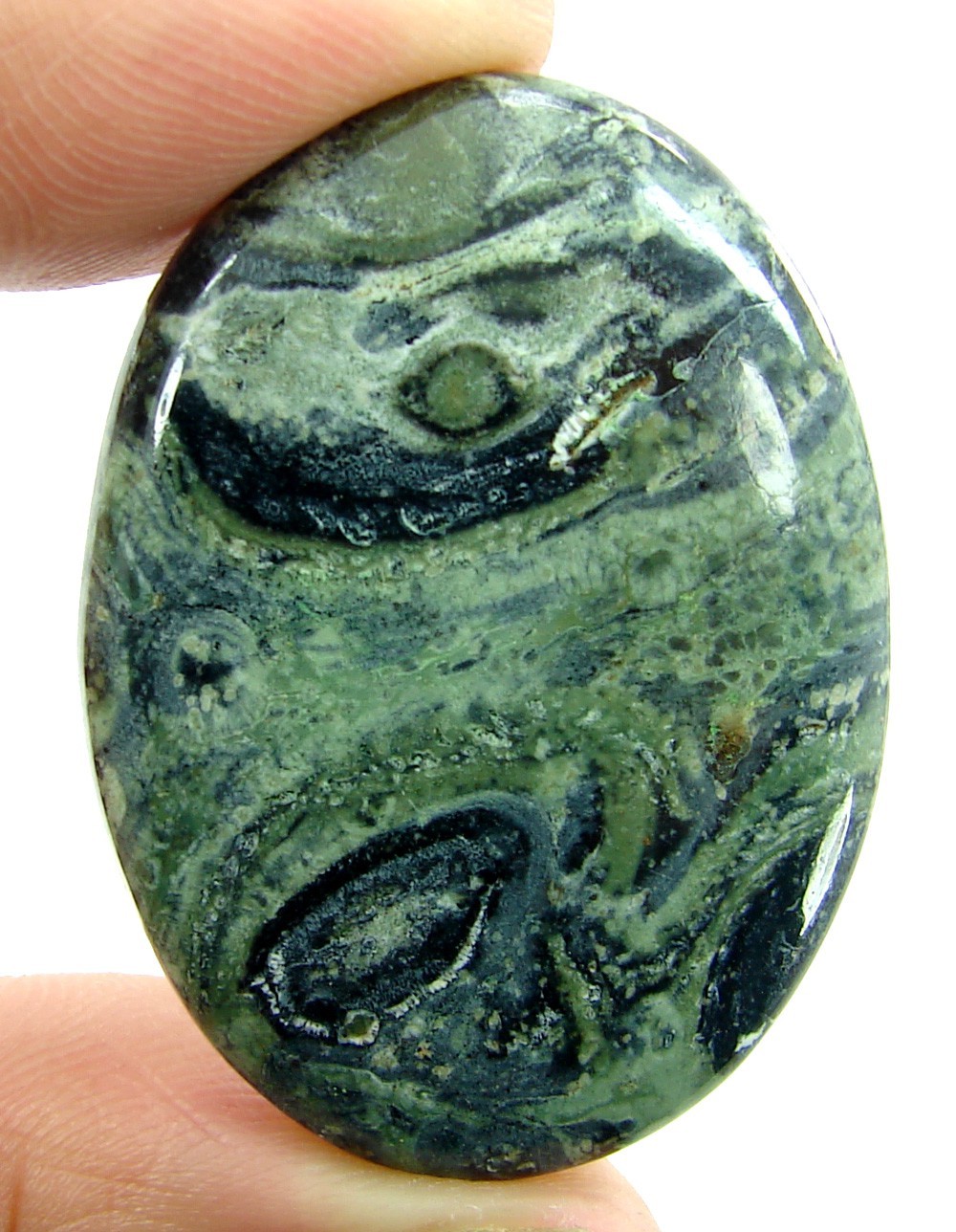 40.85 Ct Natural Kambaba Jasper Loose Gemstone Stone Cab Wire Wrap Stone – 2397