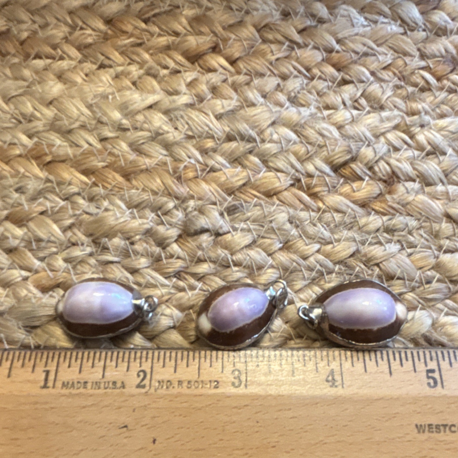 Shell Dangle/Drop jewelry charm Brown/lavender Oval seashell (3)
