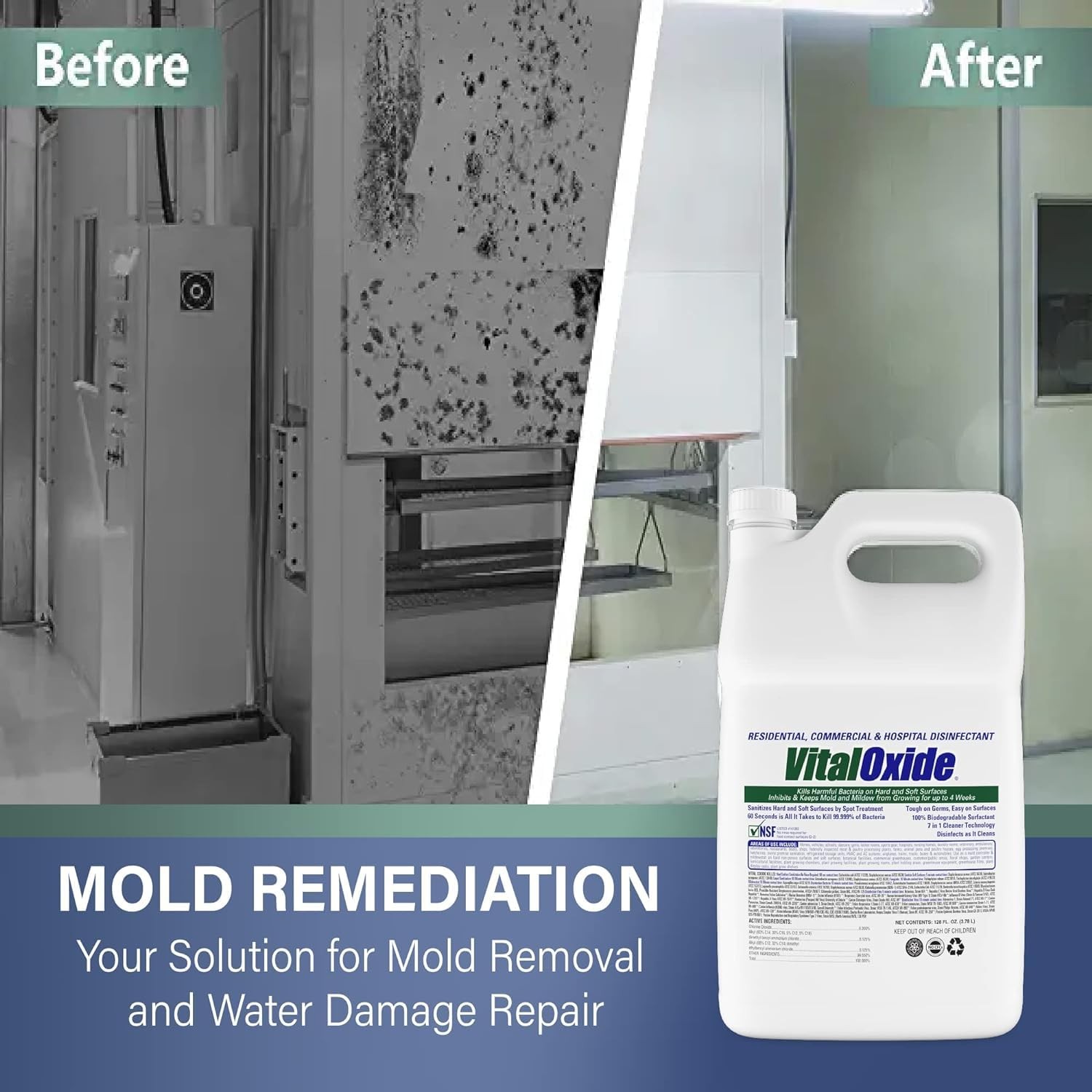 Vital Oxide Disinfectant, Deodorizer, Cleaner, 128 Fl Oz (Pack of 1)