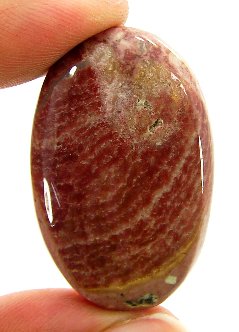 48.60 Ct Natural Chert Breccia Loose Gemstone Cabochon Wire Wrap Stone – 1542