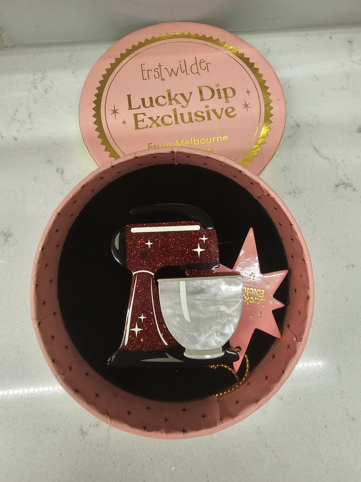 NEW Erstwilder Spin Me Right Round Brooch LDE Lucky Dip Exclusive